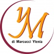 YM LANGUAGE SERVICES di Marcucci Ylenia - Traduzione, Interpretazione, Corsi di lingue